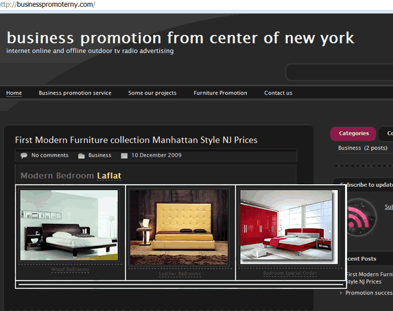 business promoter ny blog