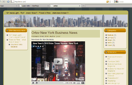 Ortov com web maqazine 2010 february