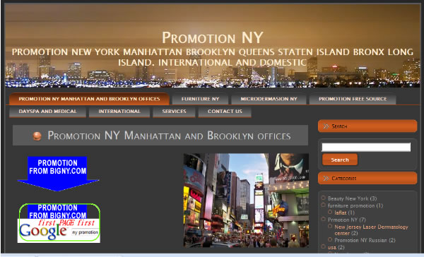 Business Promotion NY com